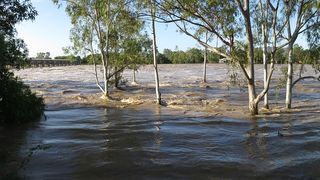 O femeie și 4 copii din județul Prahova au fost luați de ape, după o ploaie puternică