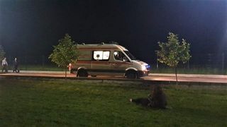 Nuntă &icirc;ncheiată cu o tragedie. Un bărbat ucis sub ochii copilului