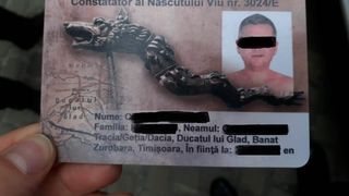 Ce este şi cum arată buletinul ilegal de "născut viu". Un bărbat din Timişoara, amendat de poliţişti