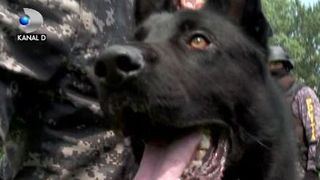 VIDEO | C&acirc;inele Nero, spaima pușcăriașilor