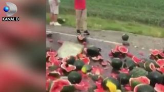 VIDEO | A „plouat” cu pepeni pe un drum din Teleorman. Imagini virale