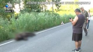 VIDEO | Moartea misterioasă a unui pui de urs. Localnicii l-au găsit prins într-o capcană