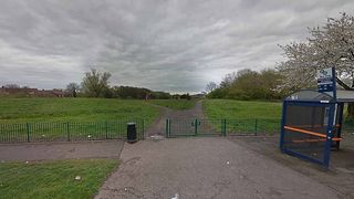 Copil de 3 luni grav rănit în parc. A fost lovit în ochi de o minge de golf