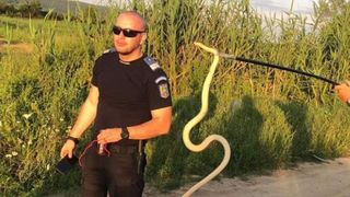 Șarpe de 2 metri, capturat în casa unei familii din Mehedinți