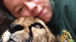 Cutremurător! O angajată a grădineii zoologice a fost devorată de un tigru