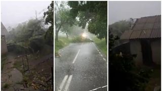 Furtună &icirc;n Rom&acirc;nia! Mai multe locuinţe au rămas fără acoperiş, iar arbori au fost rupţi, &icirc;n urma unei furtuni puternice