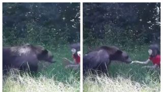 Imagini &icirc;nfricoşătoare &icirc;n Argeş: O fetiţă e &icirc;ncurajată de părinţi să dea de m&acirc;ncare unui urs. Ce a urmat