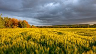 După caniculă, vin furtuni violente. Anunţ de ultimă oră de la meteo