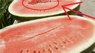 Atenţie mare! De ce să nu mai cumperi pepeni care arată aşa!