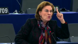 Cum a țipat Maria Grapini la Donald Tusk în plenul Parlamentului European