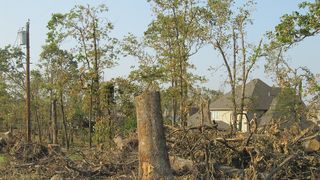 O nouă tornadă face dezastru