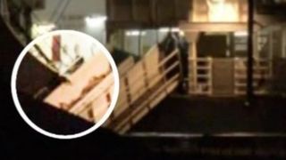 VIDEO | Anchetă la Constanța - după ce 70 de mii de oi au fost &icirc;mbarcate &icirc;n toiul nopții &icirc;ntr-o nava gigant