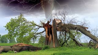 Cod galben de ploi abundente &icirc;n peste 20 de judeţe, p&acirc;nă luni seară