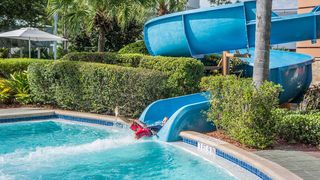 Tragedie &icirc;ntr-un parc de distracții. I-a intrat pe nas și i-a distrus creierul