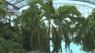 VIDEO | Africa de l&acirc;ngă București