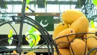 VIDEO | Festival de mango în România