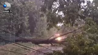 VIDEO | Furtuni de cod portocaliu. Vijeliile au smuls din loc semafoare și copaci