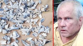 Rezultatele anchetei IML. Ce proveniență au oasele găsite în casa lui Gheorghe Dincă din Caracal