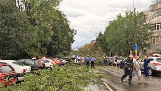 Furtună violentă pe litoral! V&acirc;ntul a suflat și cu 90 de kilometri la oră! Imaginile dezastrului
