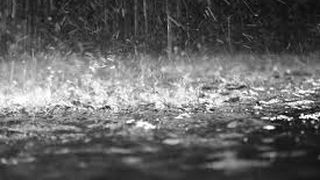 Potop &icirc;n Capitală: Cod galben de ploi și grindină - VIDEO