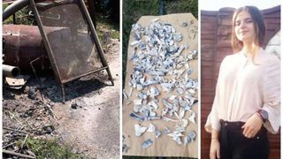 Descoperire macabra! Ce se afla sub placile de beton din gradina criminalului din Caracal