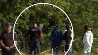 VIDEO | Alte oase găsite în pădure