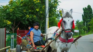  Petronel, alias padurarul Mitica din “Moldovenii”:  “Cand am o problema ma transform in padurarul Mitica si scap usor J”