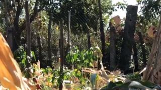 În curtea ororilor din Caracal au fost identificate 23 de locuri suspecte. "Este mincinos, autoritar și rece"