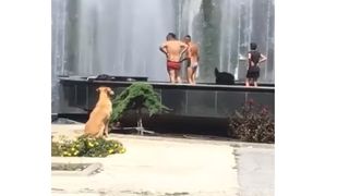 Doi bărbați și o femeie s-au dezbrăcat și s-au răcorit &icirc;ntr-o f&acirc;nt&acirc;nă din centrul Reșiței