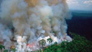 VIDEO | Arde Păm&acirc;ntul! Liderii lumii sunt &icirc;ngrijorați