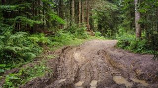 Poarta Iadului se află &icirc;n Rom&acirc;nia! Pădurea unde lucrurile dispar definitiv