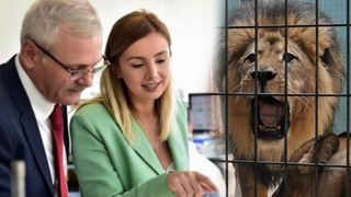 Iubita lui Liviu Dragnea a semnat o petiţie pentru eliberarea animalelor: „Stau în spatele gratiilor, pe beton, în cuşti de câţiva metri pătraţi”