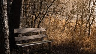 Descoperire macabră &icirc;n Sibiu. Un bărbat a fost găsit fără suflare pe o bancă din apropierea unui r&acirc;u