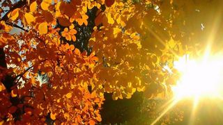 Septembrie 2019. Cum va fi vremea &icirc;n prima lună de toamnă