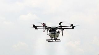 O nuntă din Arad s-a încheiat cu dosar penal 