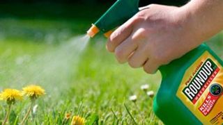 Germania interzice erbicidul corelat cu cancerul: &bdquo;Avem nevoie de mai mult zumzăit şi b&acirc;z&acirc;it&rdquo;