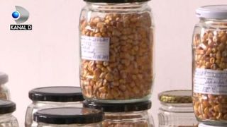 VIDEO | Banca de semințe tradiționale românești. Unde se află și ce trebuie să știe cei interesați