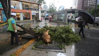 Cel puţin opt persoane au murit în Coreea de Nord şi Coreea de Sud din cauza taifunului Lingling