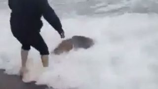 Descoperire uluitoare făcută de un bărbat pe malul apei