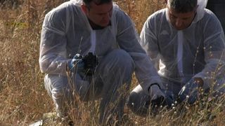 Descoperire macabră pe un câmp din Severin