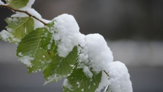 Toamna &icirc;și intră pe deplin &icirc;n drepturi. Ce temperaturi se vor &icirc;nregistra