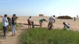 VIDEO | Cine sunt străinii care ne curăță plajele. Student grec: „Oamenii arunca gunoaie peste tot”