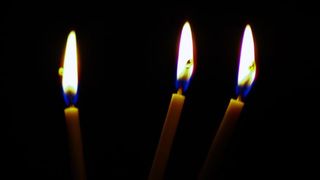 Tăietori de lemne &icirc;n Austria. Nicu și Vasile, tinerii maramureșeni au avut parte de un sf&acirc;rșit tragic