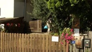 Bebeluș de o zi, găsit fără viață &icirc;ntr-un tufiș. Gestul necugetat al mamei