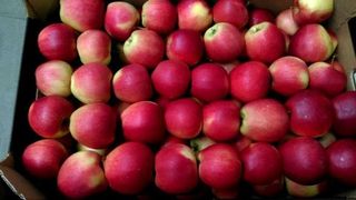 Anunț ANPC: alimente care conțin substanțe cancerigene ajunse &icirc;n școli