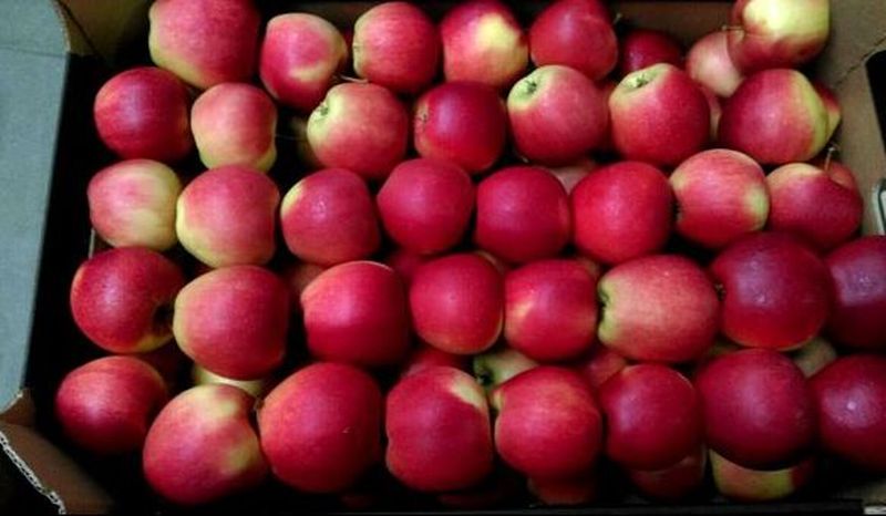 Anunț ANPC: alimente care conțin substanțe cancerigene ajunse în școli