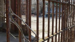 &Icirc;nchisoare pe viață după ce și-a ucis șefa. Povestea uluitoare a rom&acirc;nului de 23 de ani