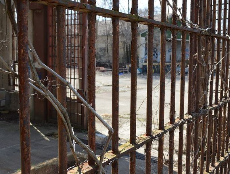 Închisoare pe viață după ce și-a ucis șefa. Povestea uluitoare a românului de 23 de ani