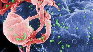 Alertă de HIV! Un t&acirc;năr a infectat intenționat mai multe fete cu acest virus