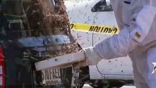 Pățania unui șofer. A găsit mașina invadată de mii de albine